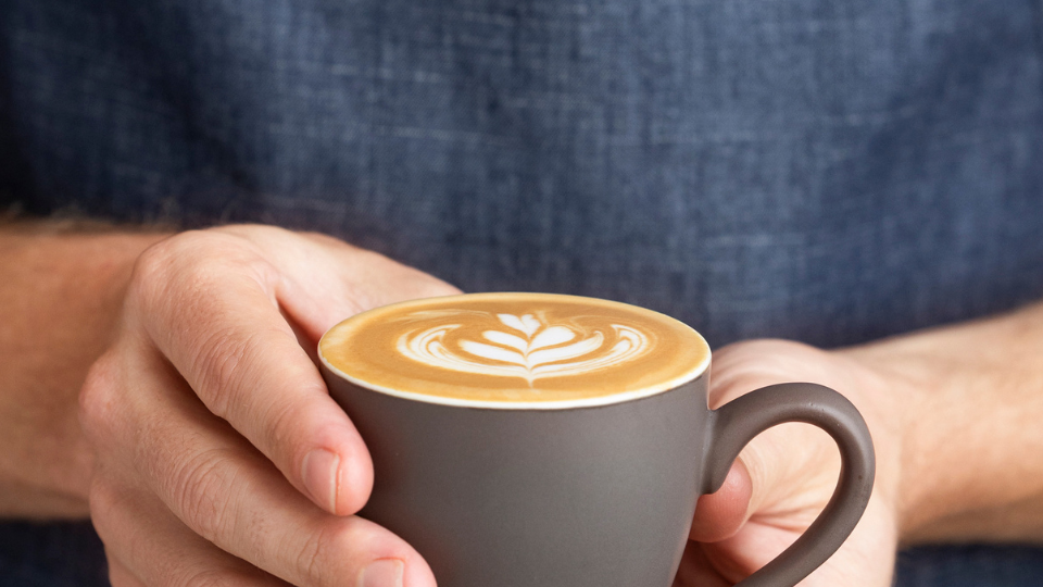 Jamaica Blue Noosa Civic-3