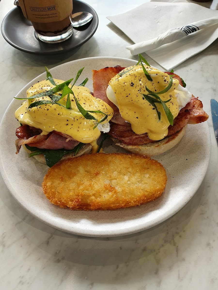 Jamaica Blue Noosa Civic-5