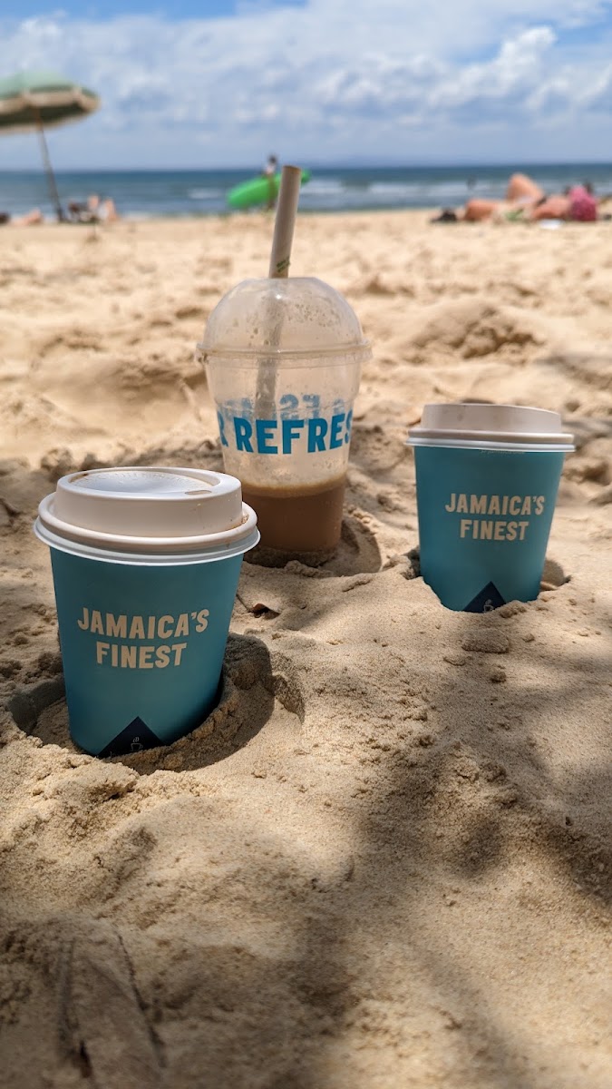 Jamaica Blue Noosa Civic-8